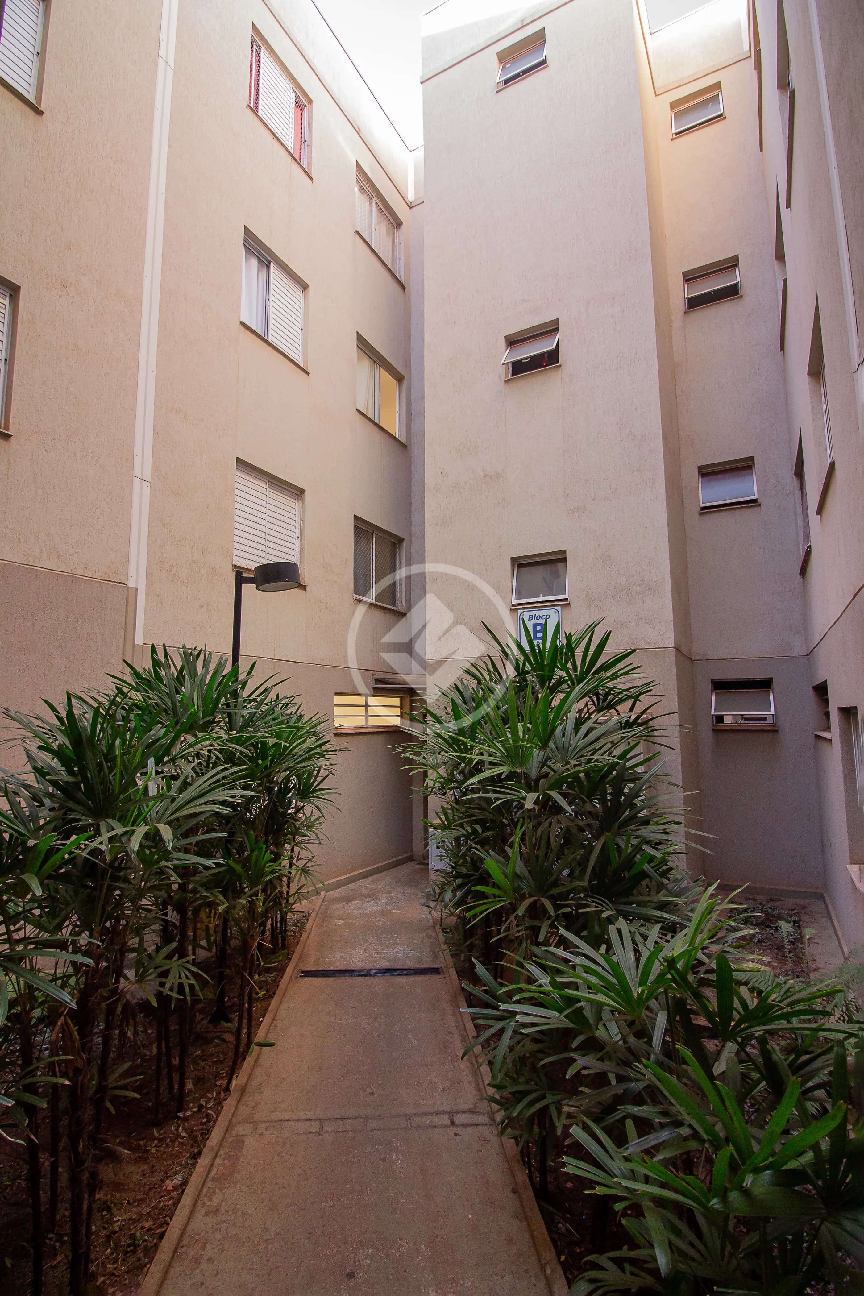 Apartamento 2 quartos no Jardim Heitor Rigon, Ribeirão Preto — foto 3 de 6