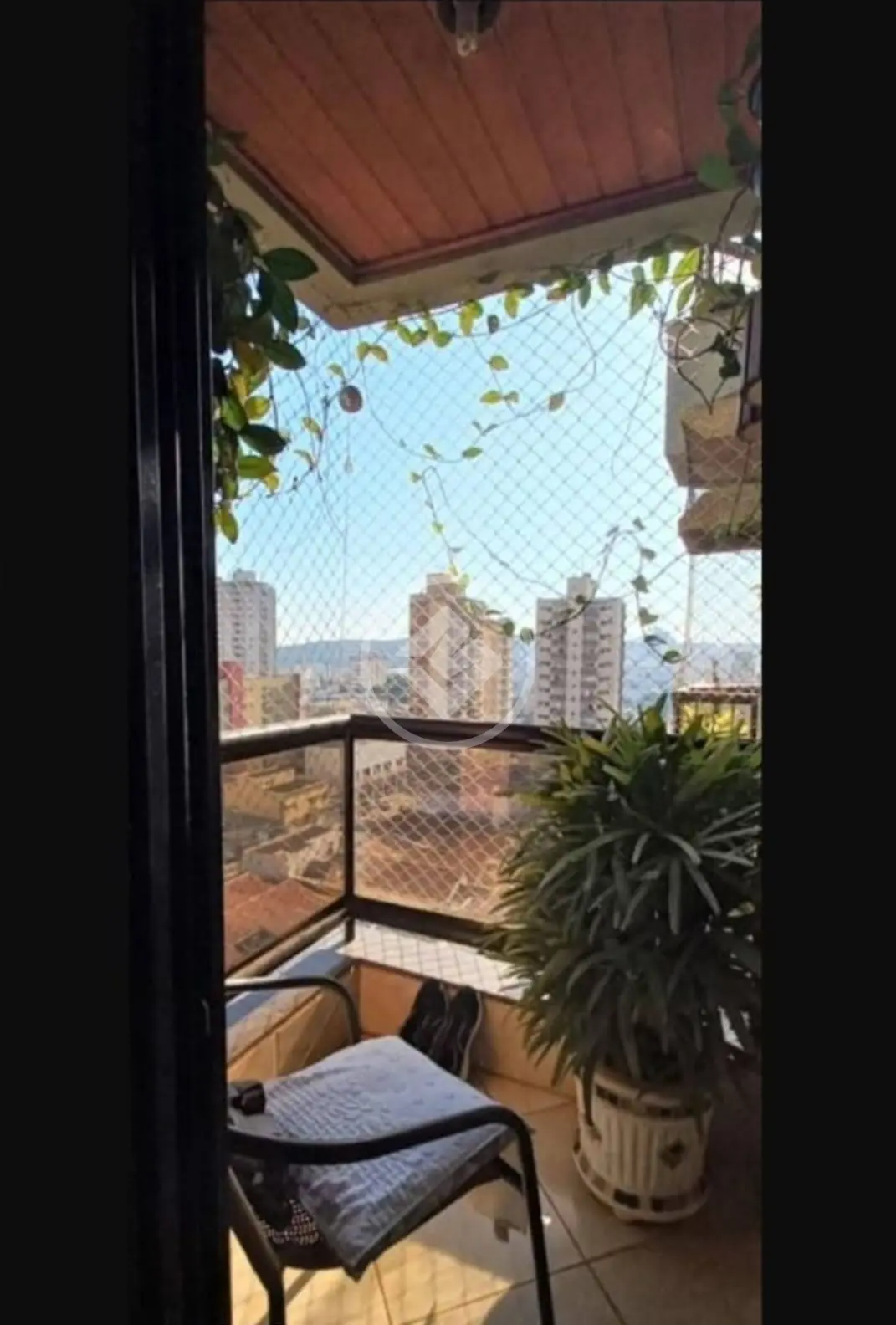 Apartamento Vila Seixas, Ribeirão Preto - SP — foto 2