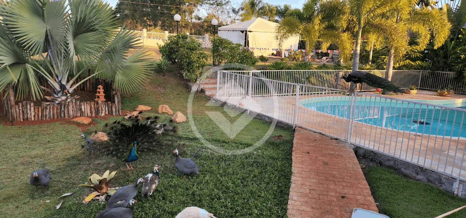 Casa Condomínio 6 quartos no Sítio de Recreio Paraíso Tropical, Goiânia — foto 3 de 3