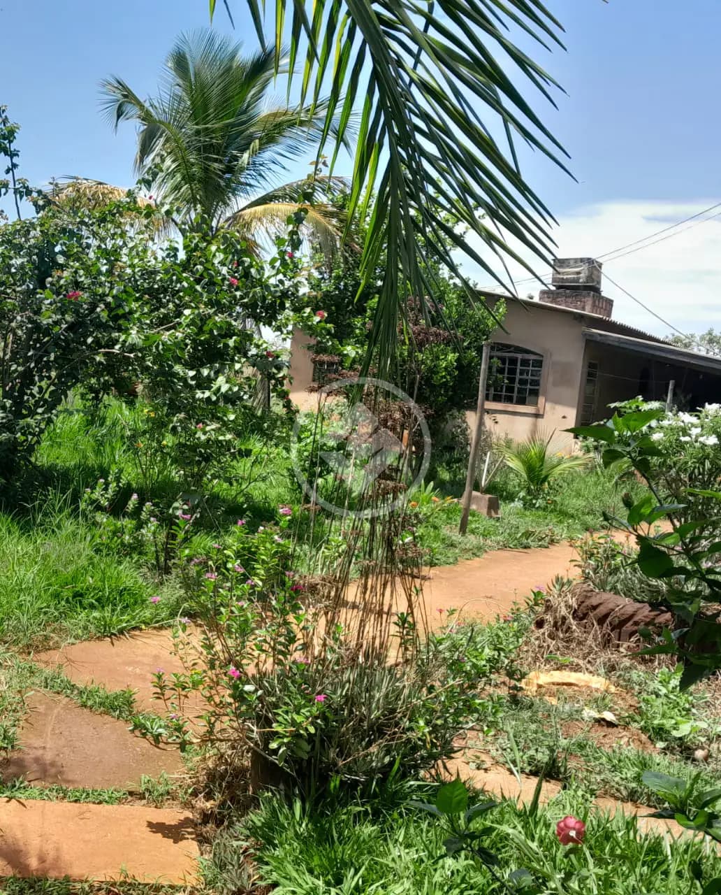 Sítio à Venda - 14,6 hectares - Uberlândia - MG