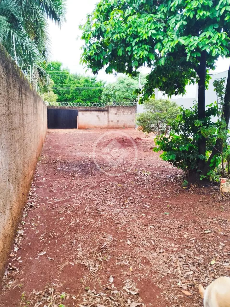 Terreno no Daniel Fonseca, Uberlândia — foto 2 de 2