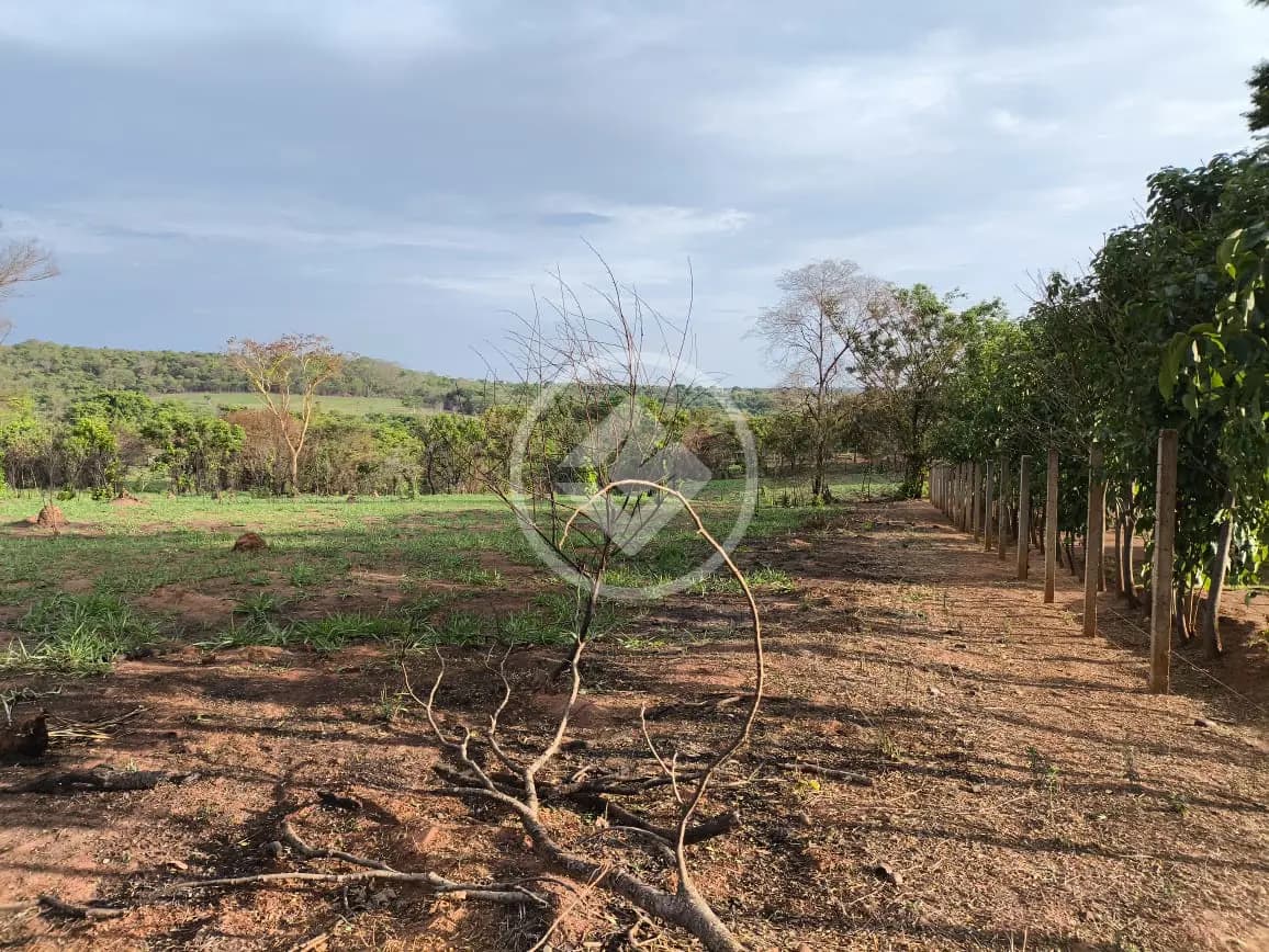 Chácara Área Rural de Uberlândia, Uberlândia - MG — foto 2