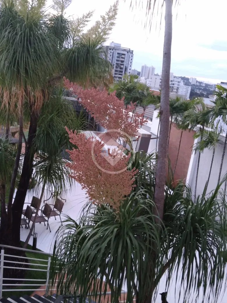 Casa 5 quartos no Jardim Colina, Uberlândia — foto 6 de 6