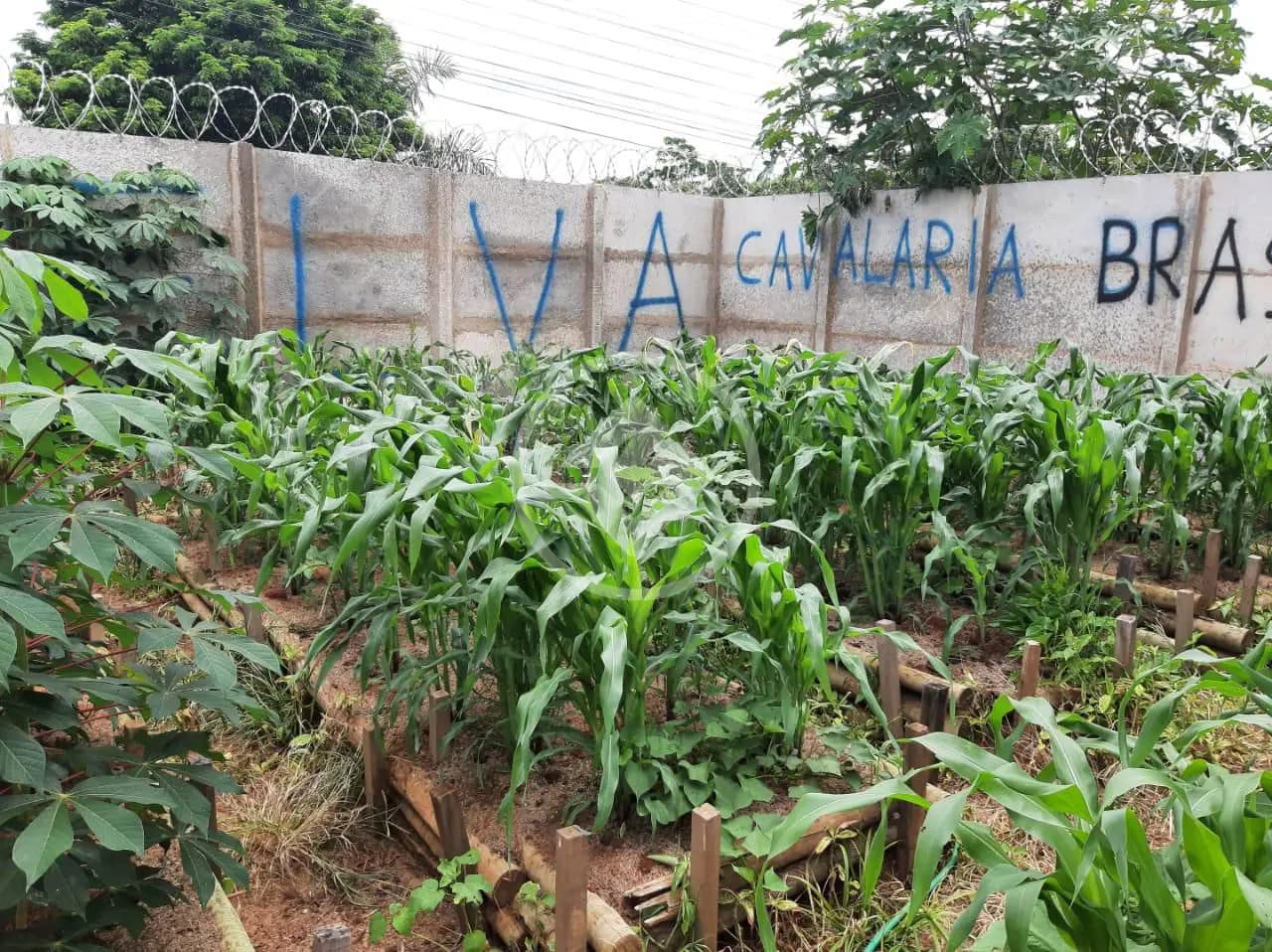 Chácara no Morada Nova, Uberlândia — foto 6 de 6