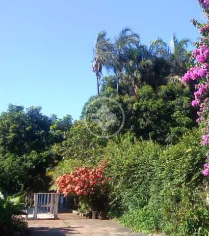 Sala Comercial Martins, Uberlândia - MG — foto 2