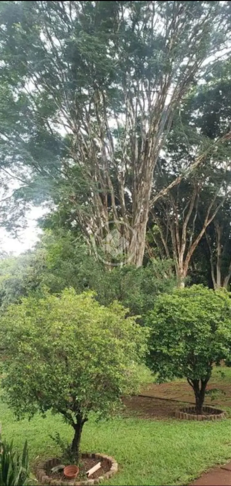 Chácara no Morada do Sol, Uberlândia — foto 6 de 6