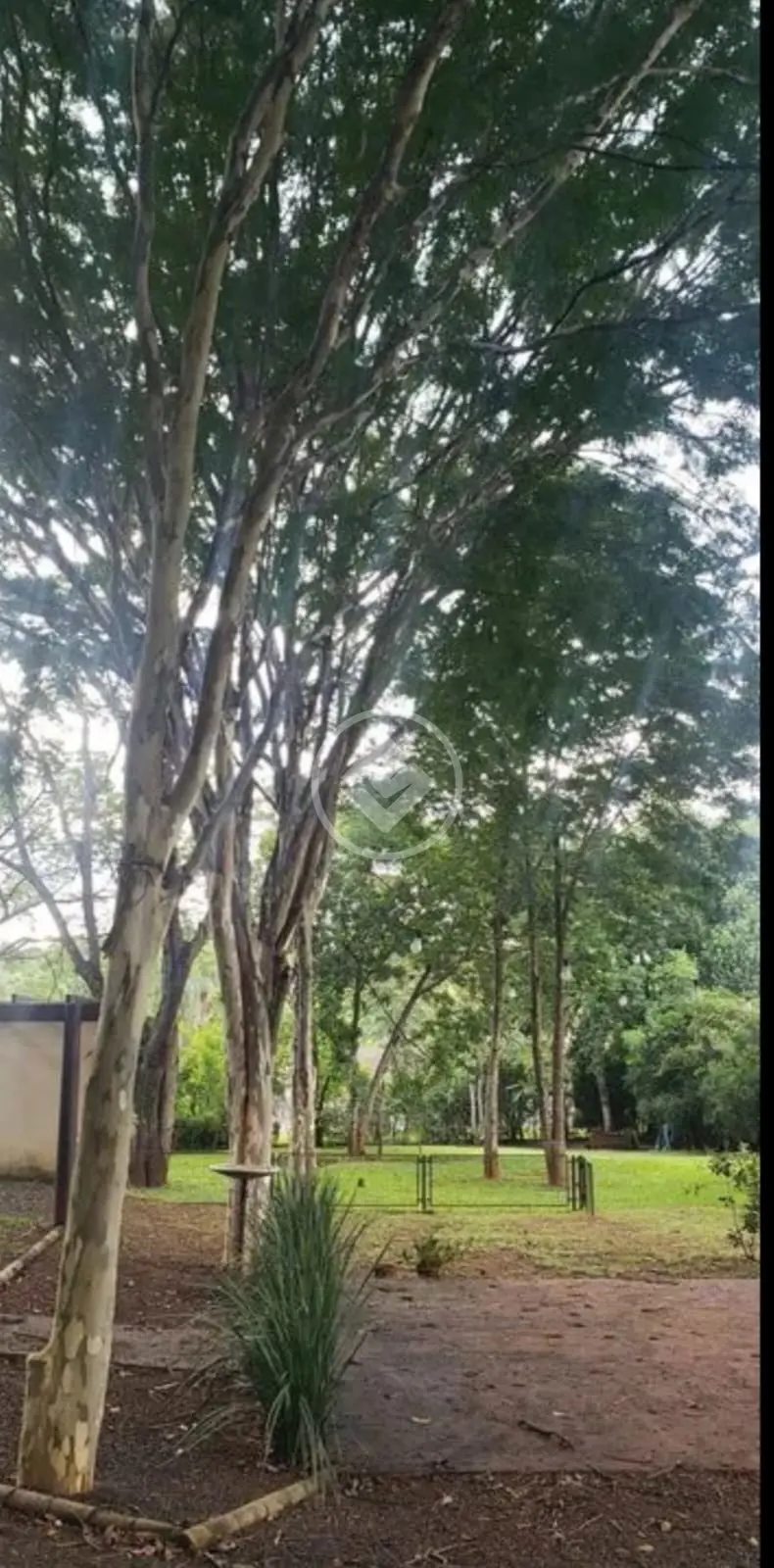 Chácara no Morada do Sol, Uberlândia — foto 4 de 6