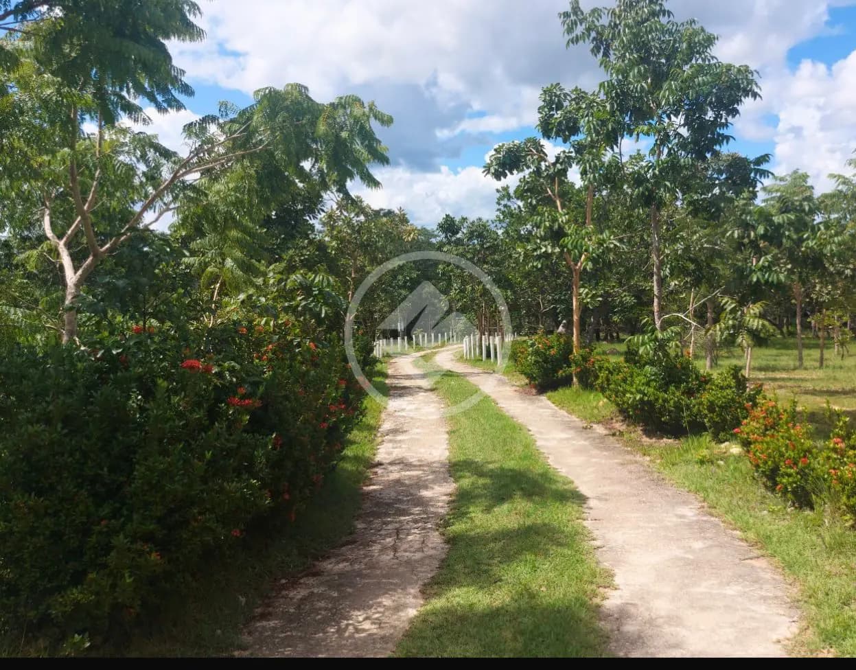 Chácara no COXIPO DO OURO, Cuiabá — foto 3 de 6