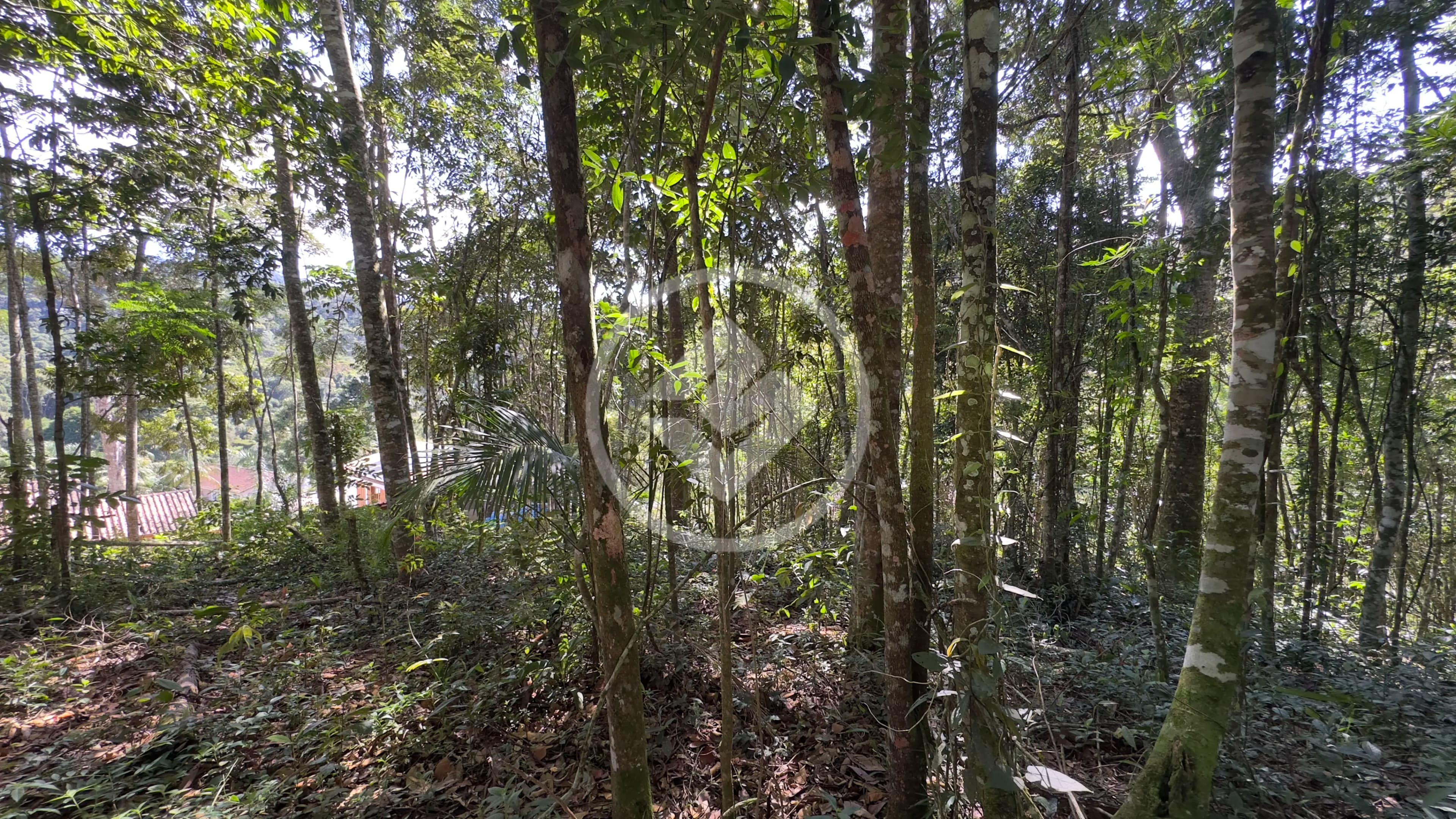 Terreno Condomínio no Fazenda Boa Fé, Teresópolis — foto 4 de 6