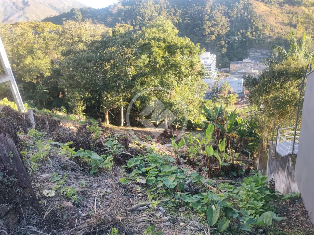 Terreno no Parque São Luiz, Teresópolis — foto 6 de 6
