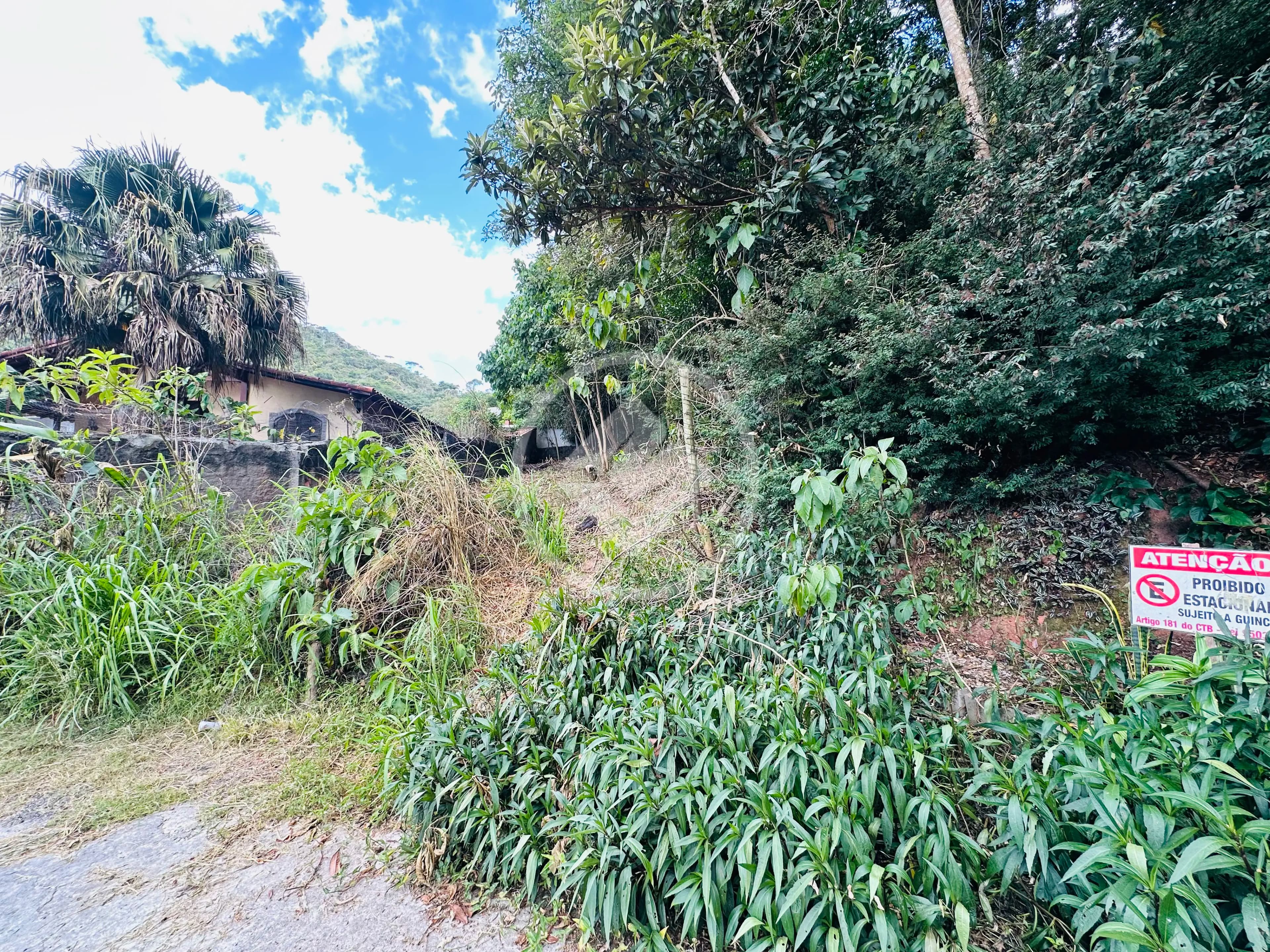 Terreno no Prata, Teresópolis — foto 4 de 6
