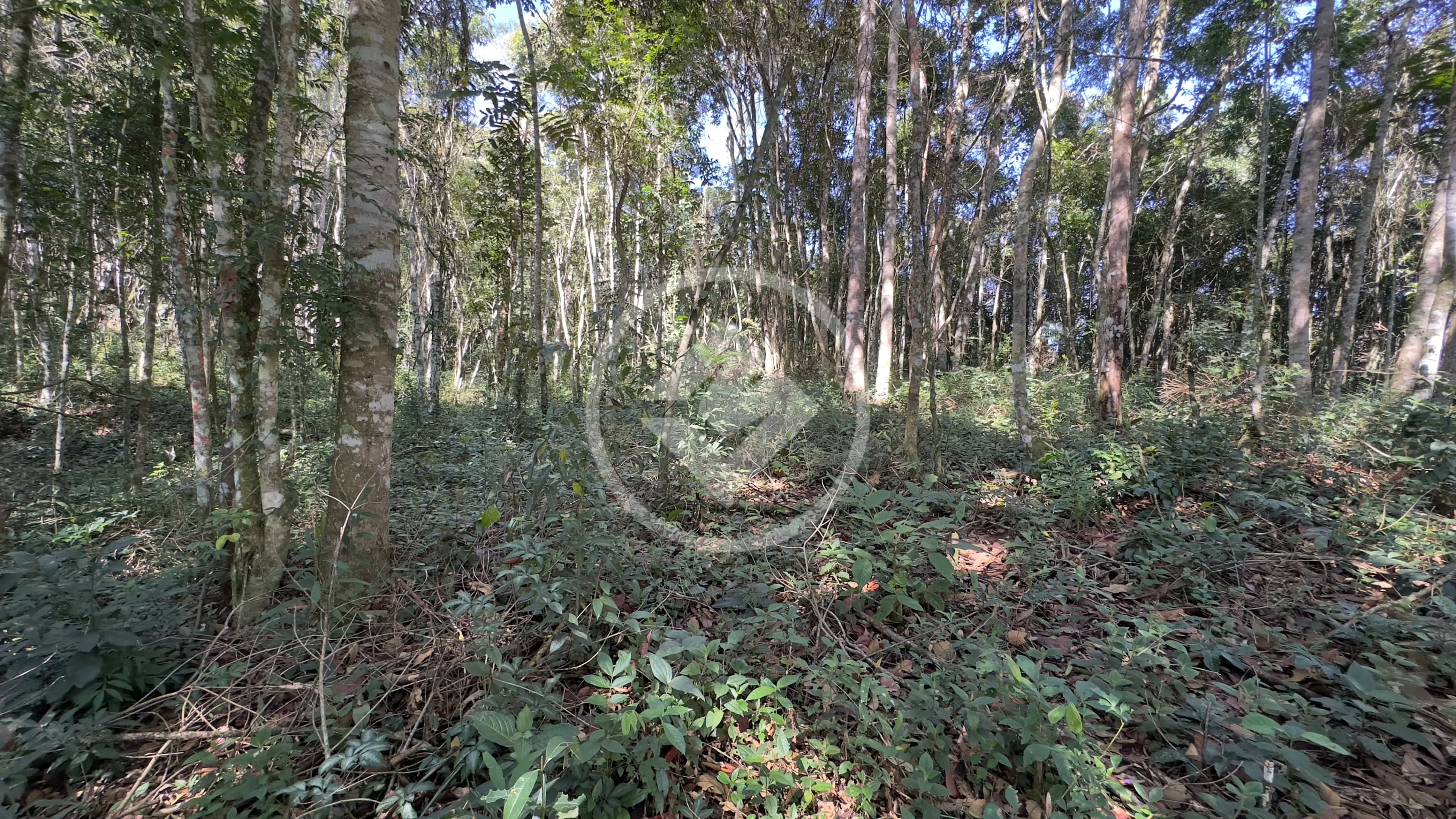 Terreno Condomínio Fazenda Boa Fé, Teresópolis - RJ — foto 2