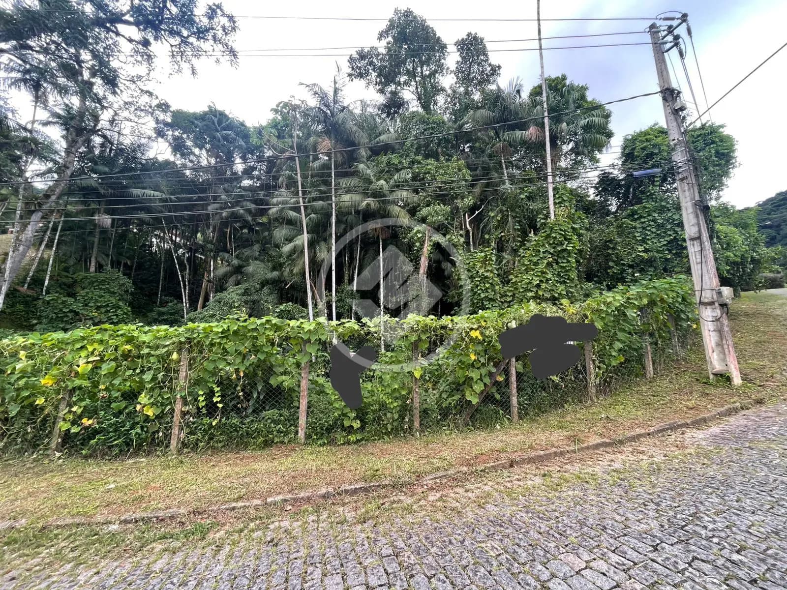 Terreno no Carlos Guinle, Teresópolis — foto 4 de 6