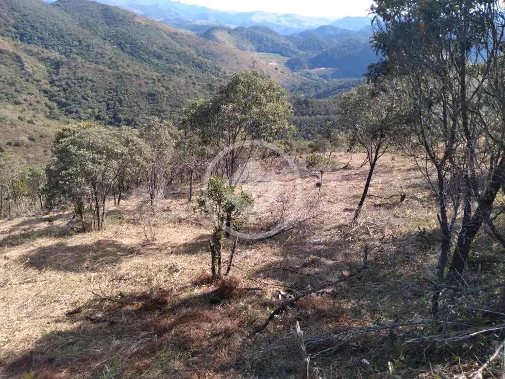 Terreno Condomínio Pedro do Rio, Petrópolis - RJ — foto 2