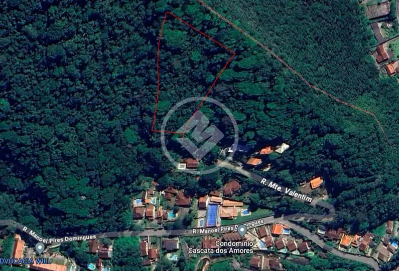 Terreno em mata virgem com 6439m²  no Alto.