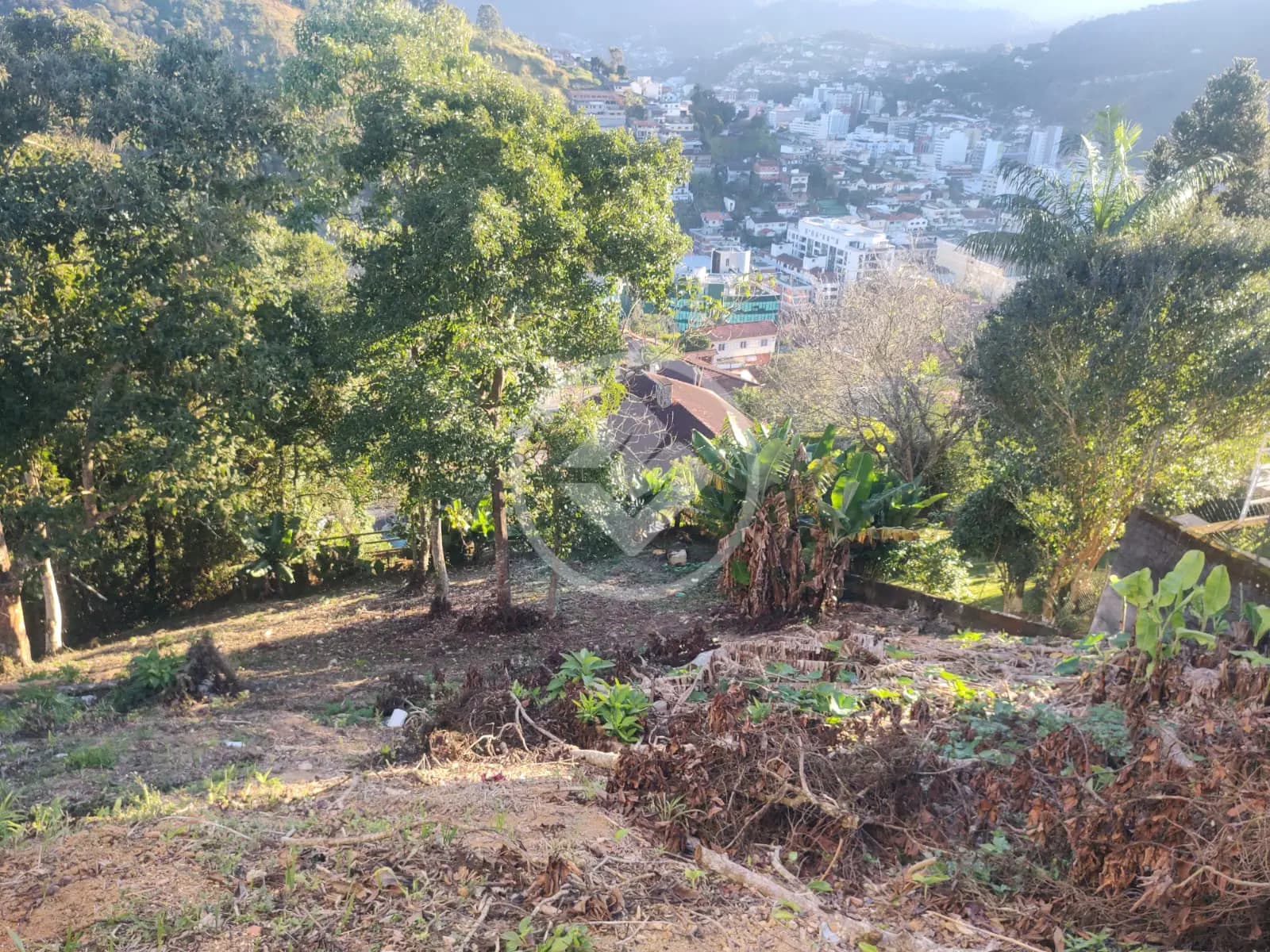 Terreno Parque São Luiz, Teresópolis - RJ — foto 2
