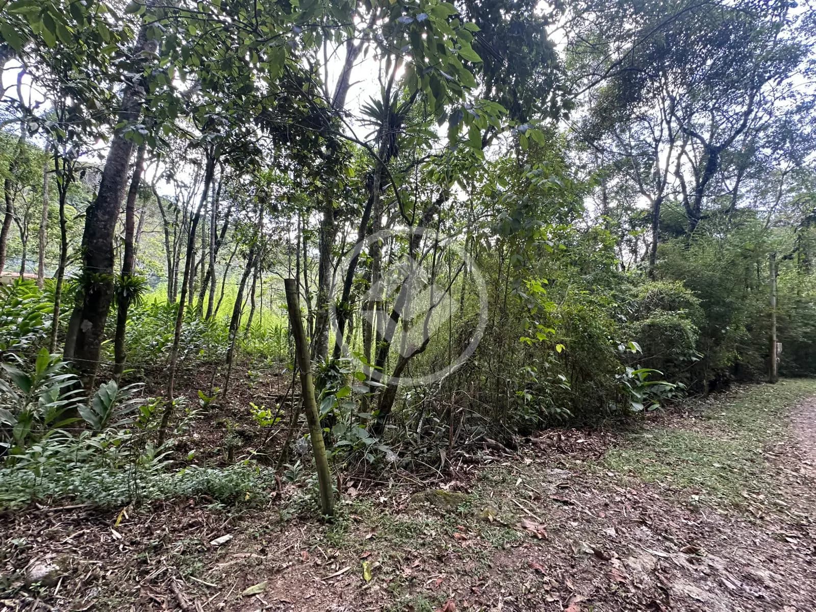Terreno no Vargem Grande, Teresópolis — foto 4 de 6