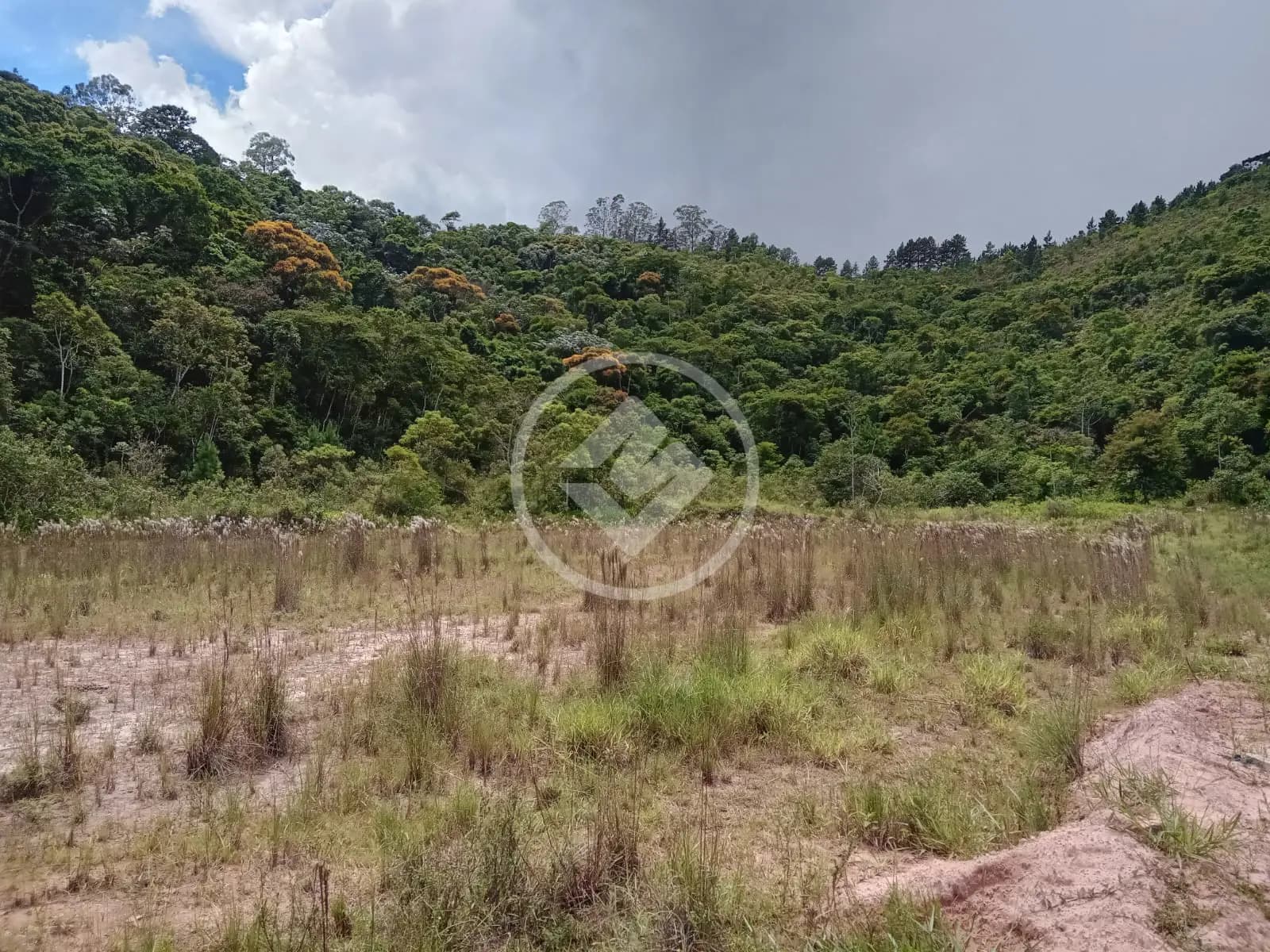 Terreno Fazenda Alpina, Teresópolis - RJ — foto 2