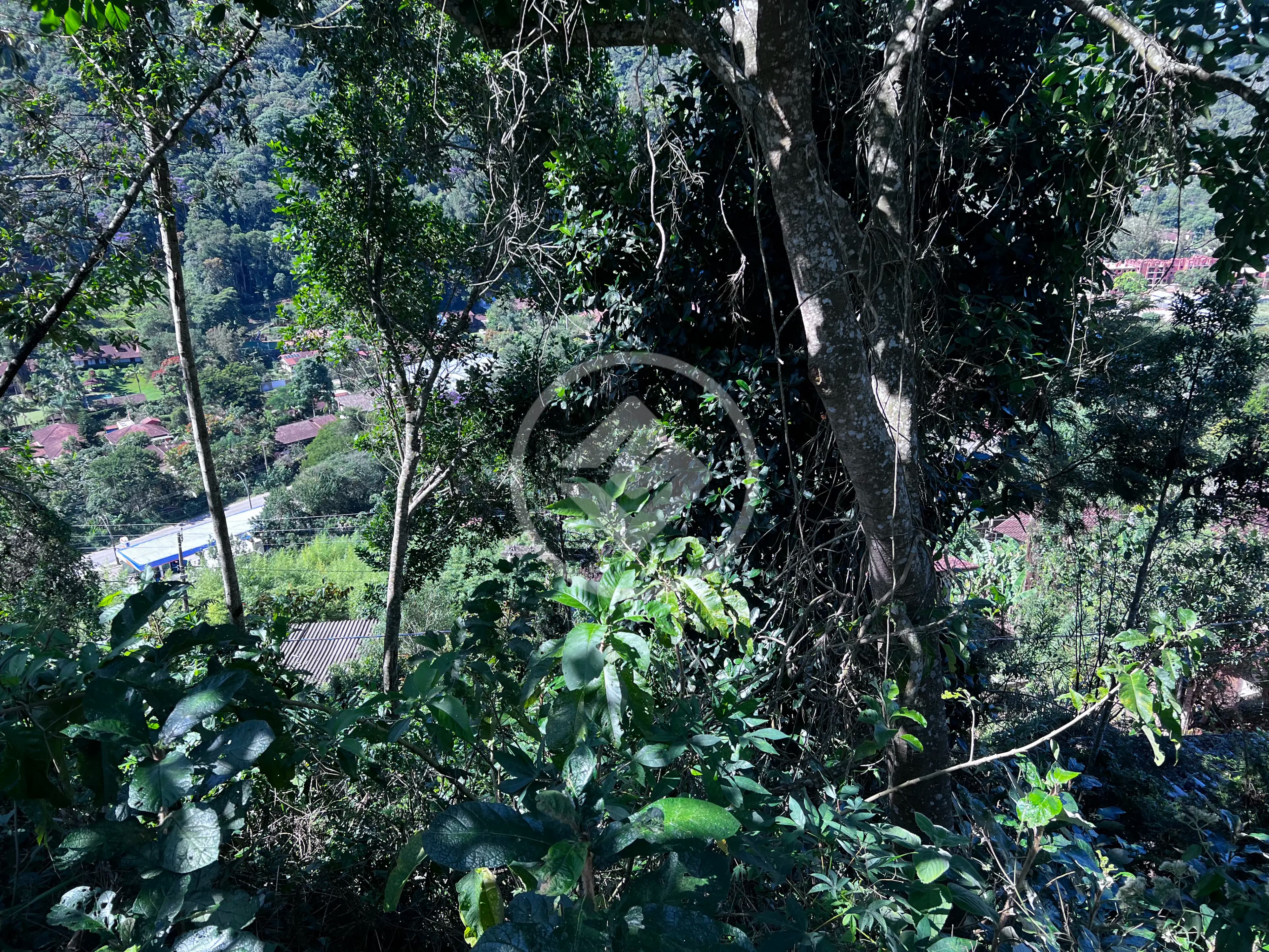 Terreno Condomínio Albuquerque, Teresópolis - RJ — foto 2