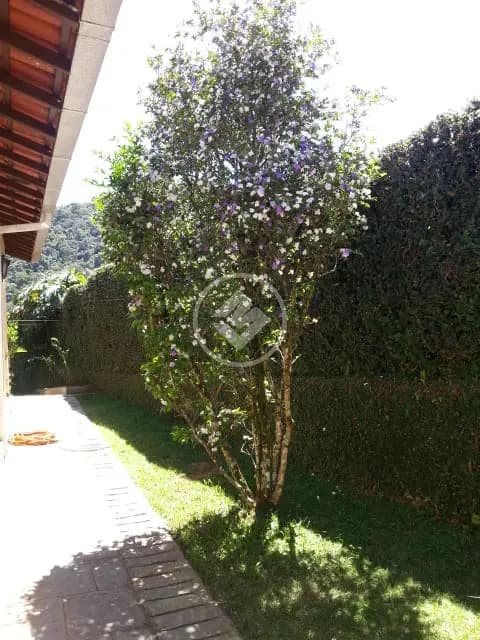 Casa 3 quartos no Albuquerque, Teresópolis — foto 4 de 6