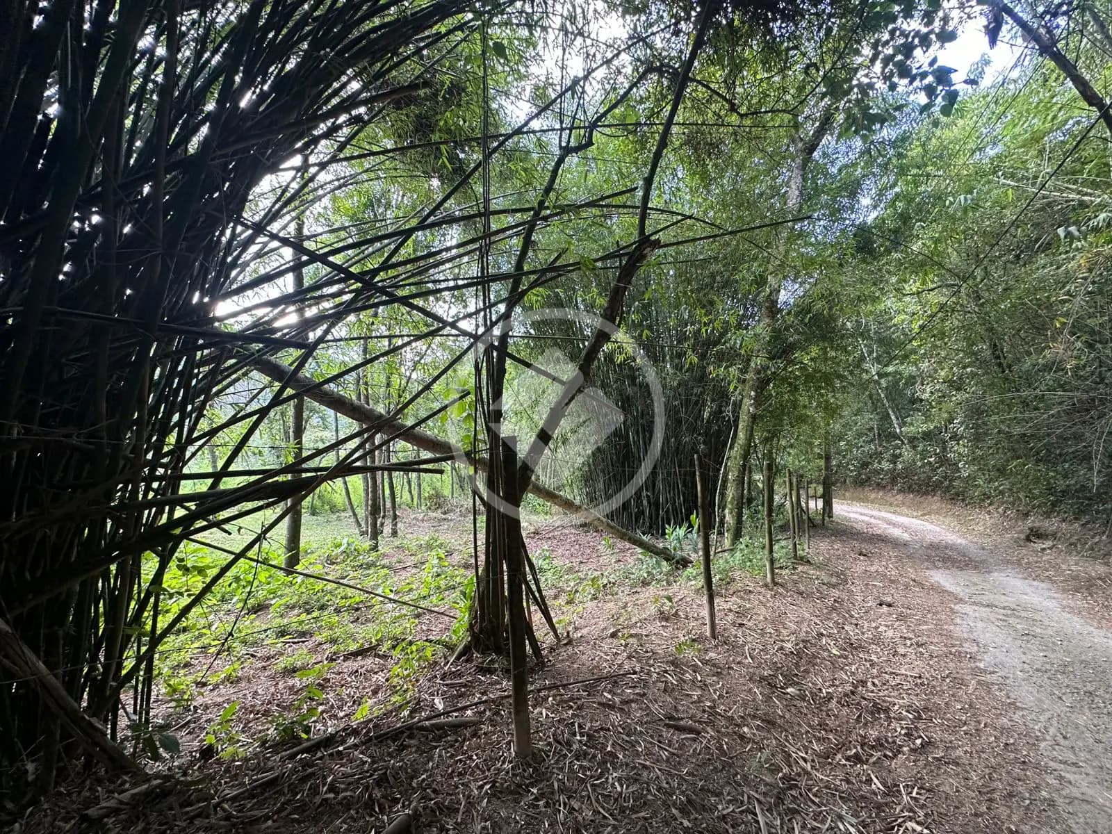 Terreno no Vargem Grande, Teresópolis — foto 6 de 6