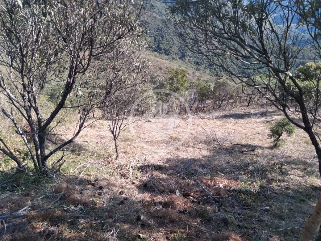 Terreno Condomínio Pedro do Rio, Petrópolis - RJ — foto 1