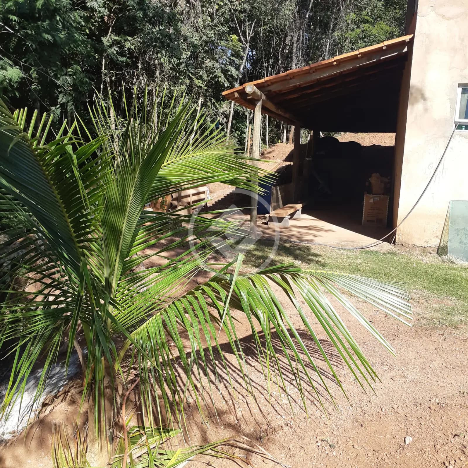 Sítio no Área Rural de Uberlândia, Uberlândia — foto 6 de 6