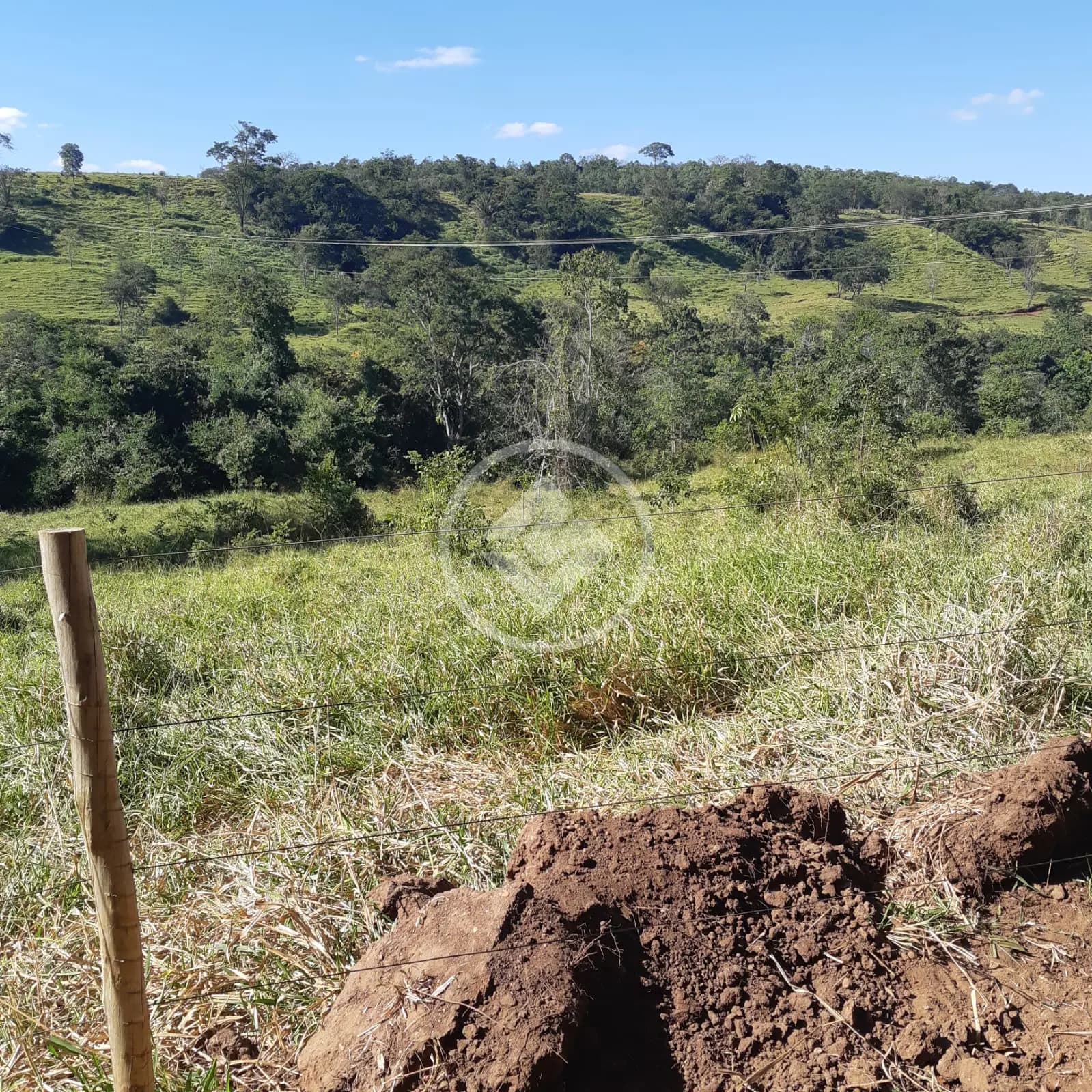 Sítio no Área Rural de Uberlândia, Uberlândia — foto 2 de 6