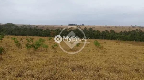 Fazenda à venda – 30.000 m² - Monte Alegre/MG