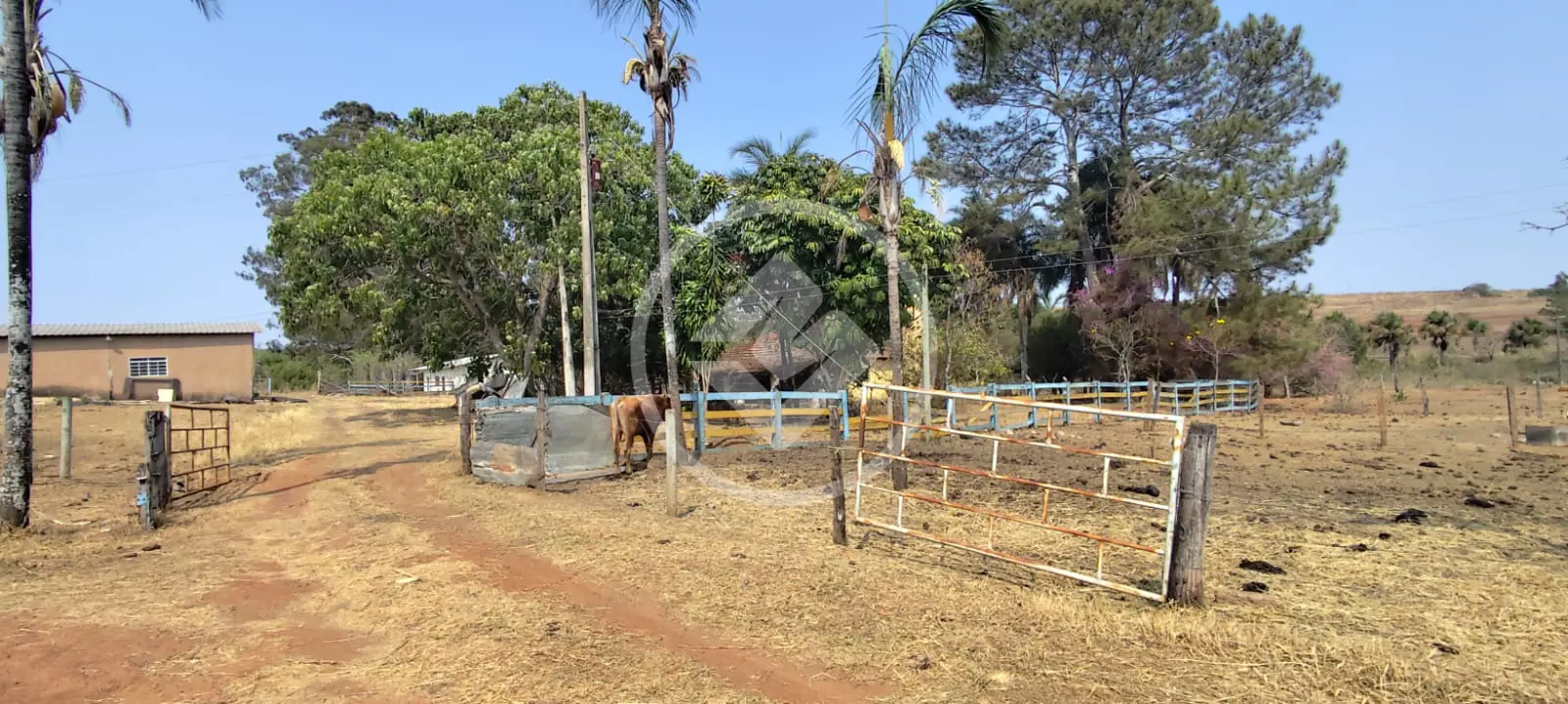 Chácara à venda – 40.000 m² - Rural - Uberlândia/MG