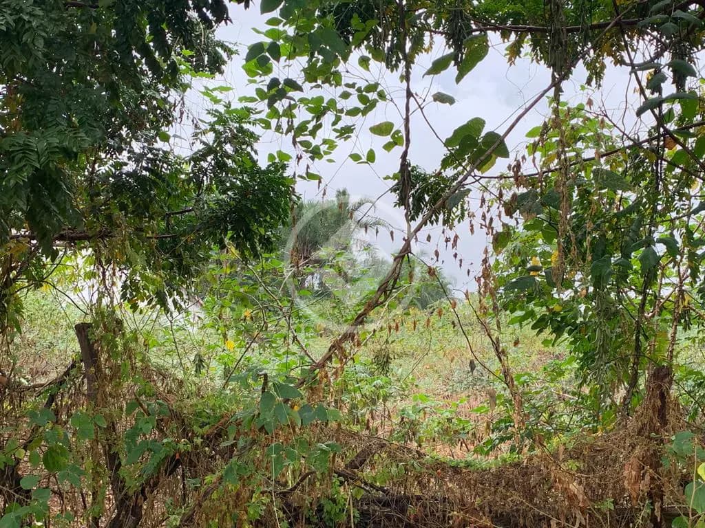 Terreno no Morada Nova, Uberlândia — foto 2 de 3