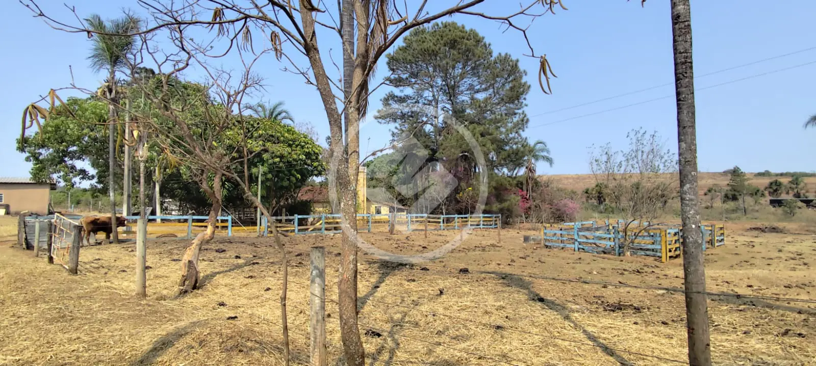 Chácara no Área Rural de Uberlândia, Uberlândia — foto 6 de 6