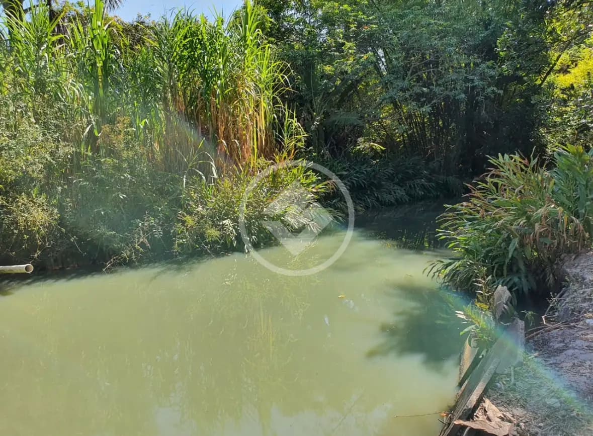 Fazenda no Área Rural de Uberlândia, Uberlândia — foto 3 de 6