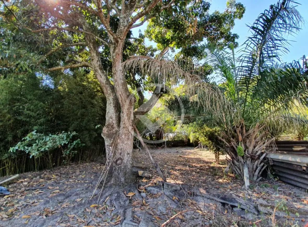 Fazenda Área Rural de Uberlândia, Uberlândia - MG — foto 2