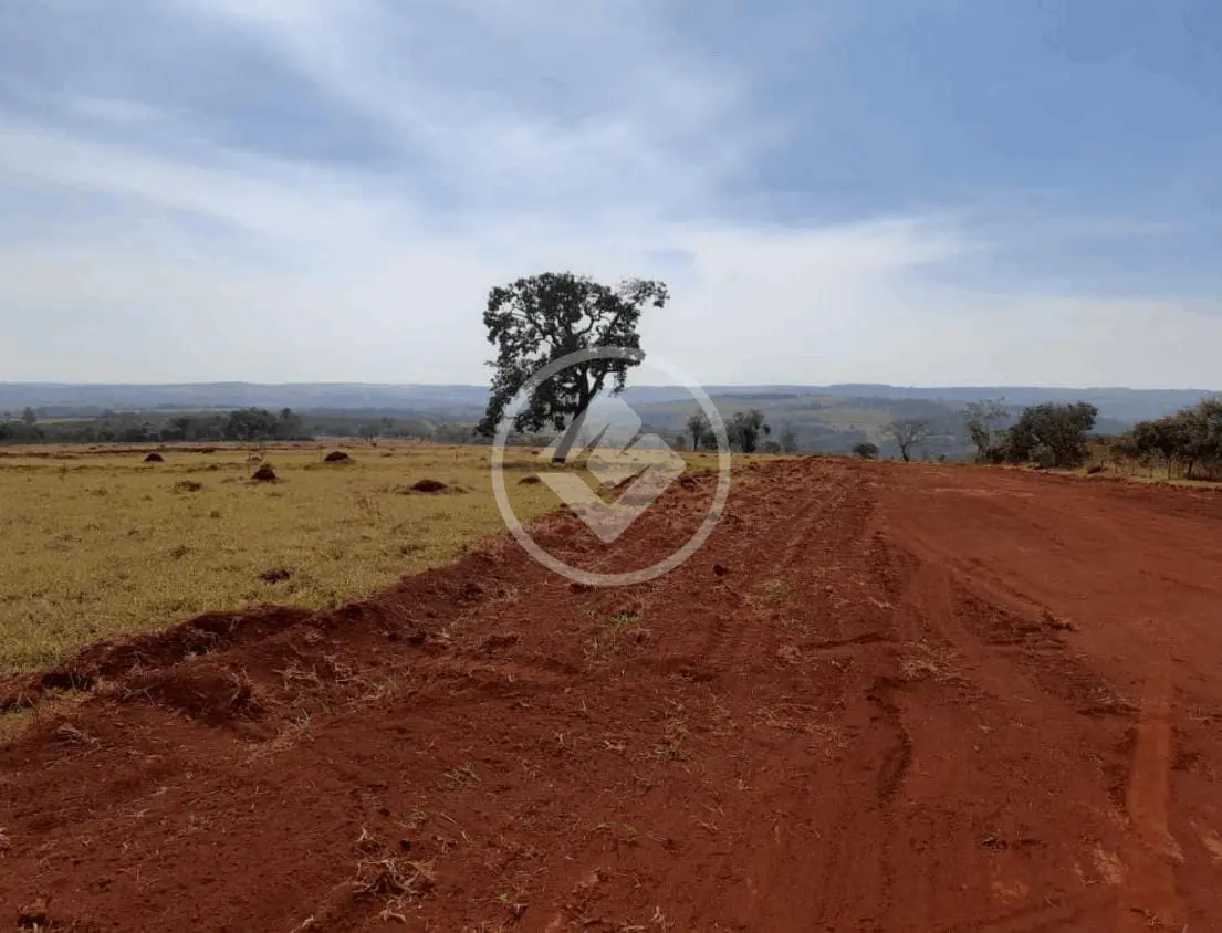 Sítio Área Rural de Uberlândia, Uberlândia - MG — foto 2