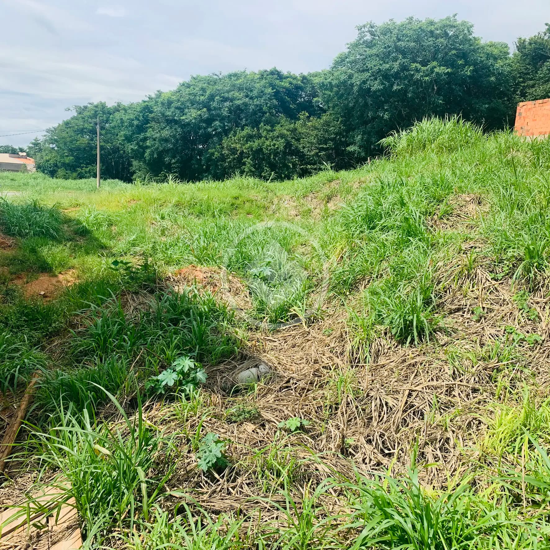 Terreno no Capela, Vinhedo — foto 2 de 6