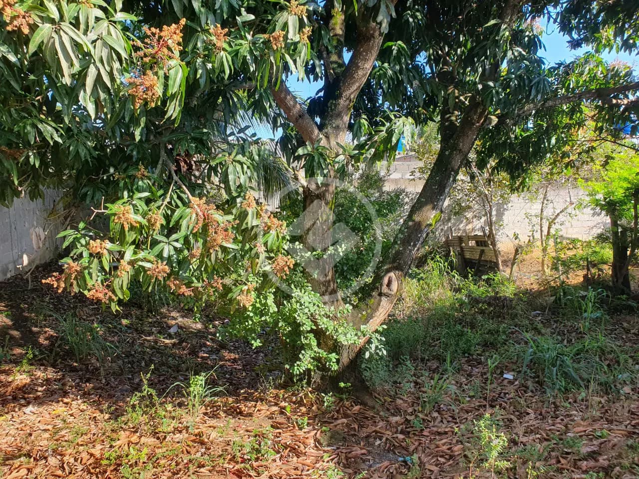 Terreno no Balneário Ponta da Fruta, Vila Velha — foto 4 de 5