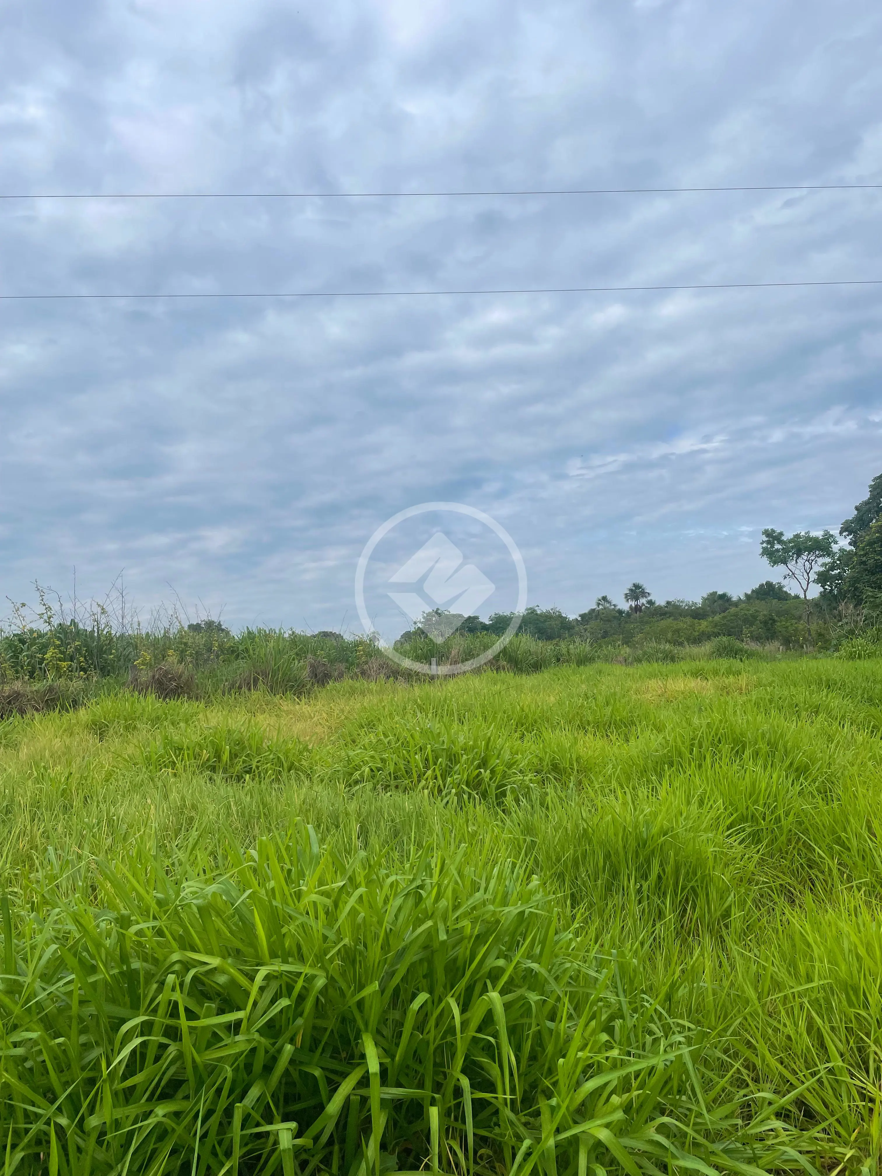 Chácara 3 quartos no Central, Bela Vista de Goiás — foto 6 de 6