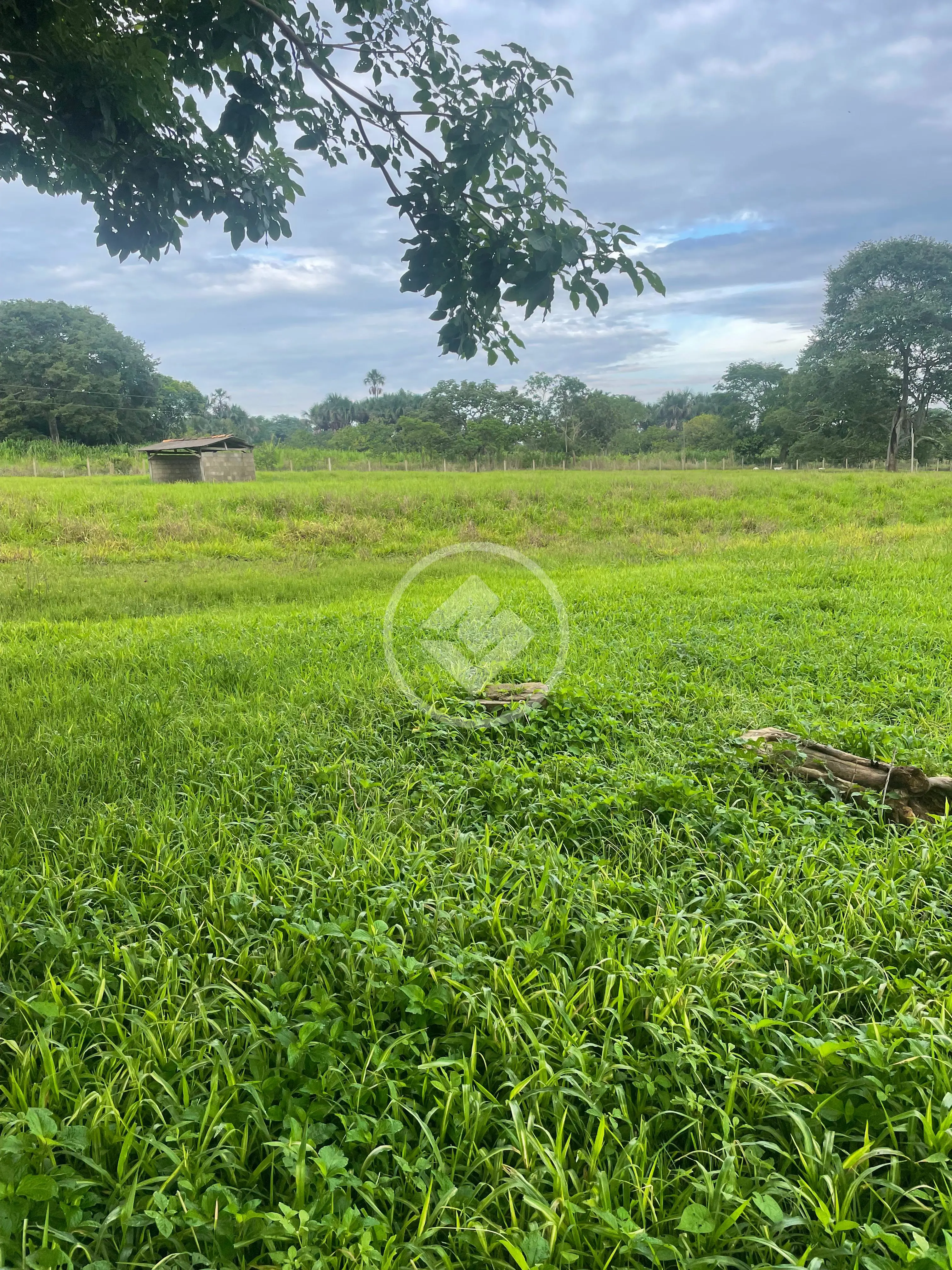 Chácara 3 quartos no Central, Bela Vista de Goiás — foto 5 de 6