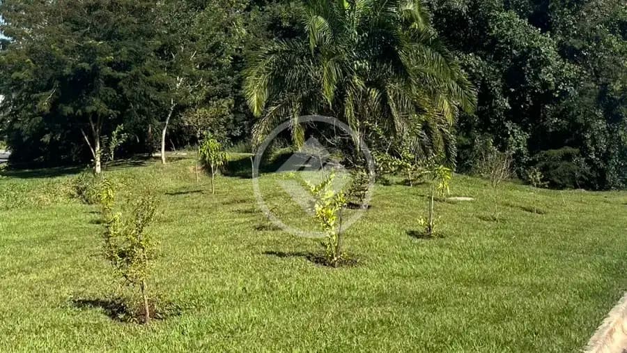 Terreno Condomínio no Jardins Barcelona, Senador Canedo — foto 5 de 6