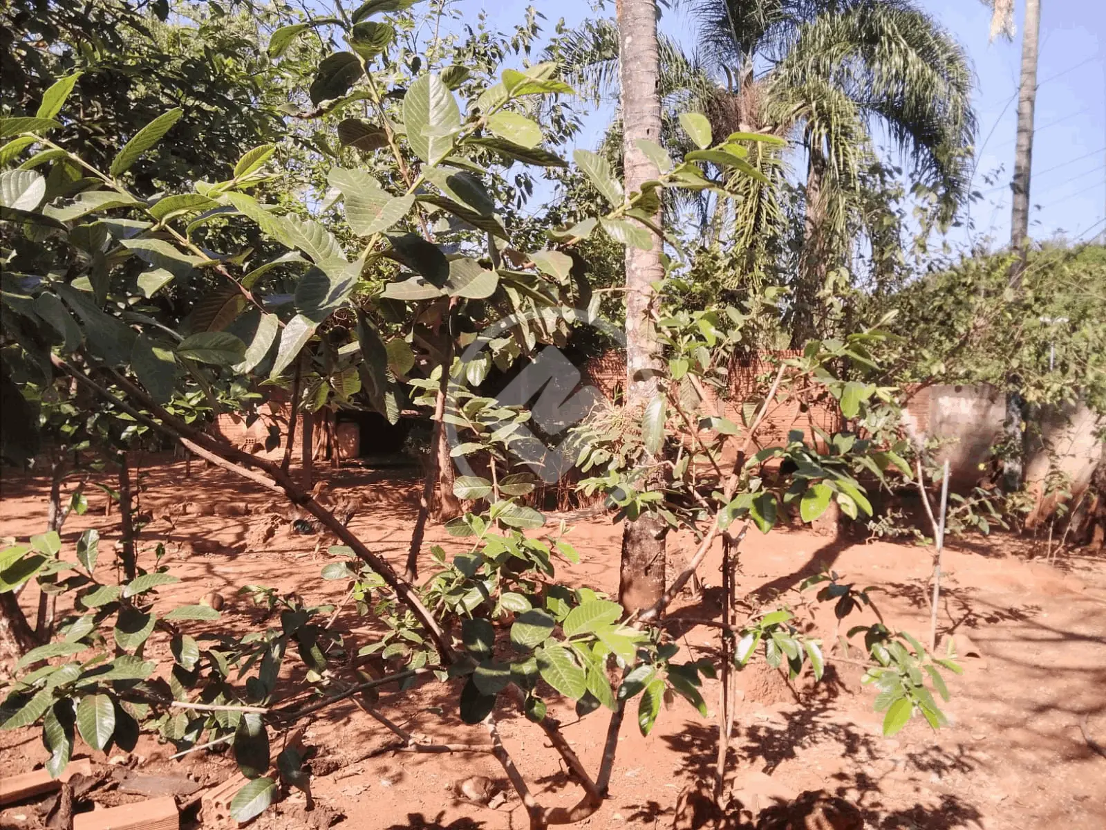 Terreno no Setor Faiçalville, Goiânia — foto 3 de 6