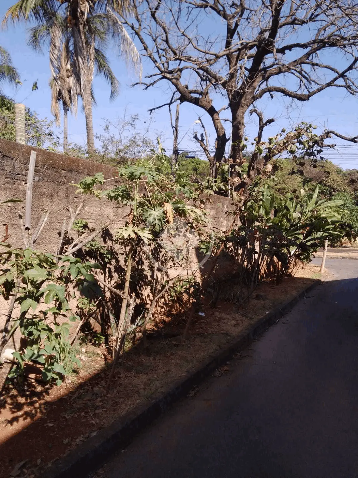 Terreno no Setor Faiçalville, Goiânia — foto 4 de 6