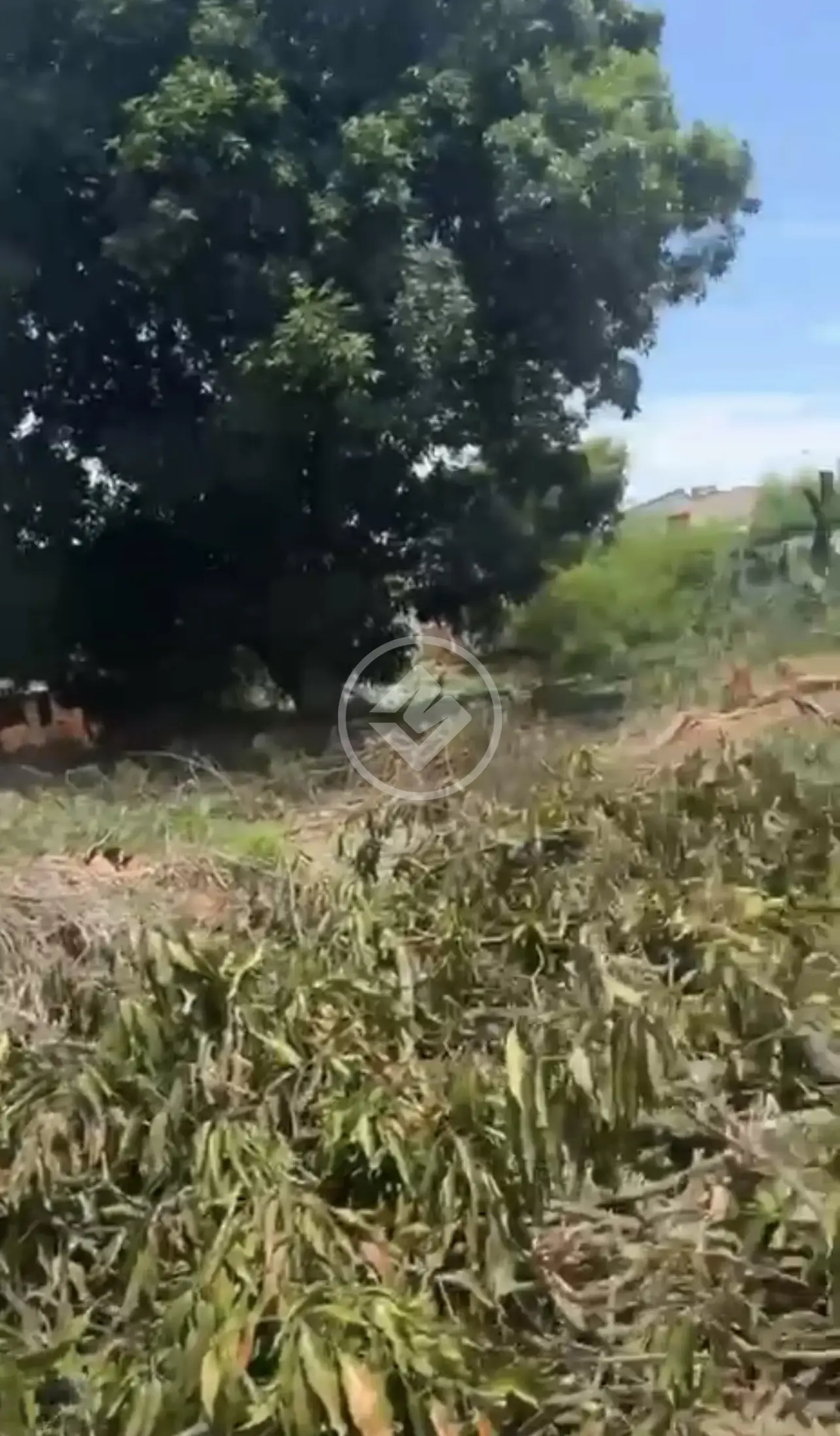 Terreno Comercial Jardim Novo Mundo, Goiânia - GO — foto 2