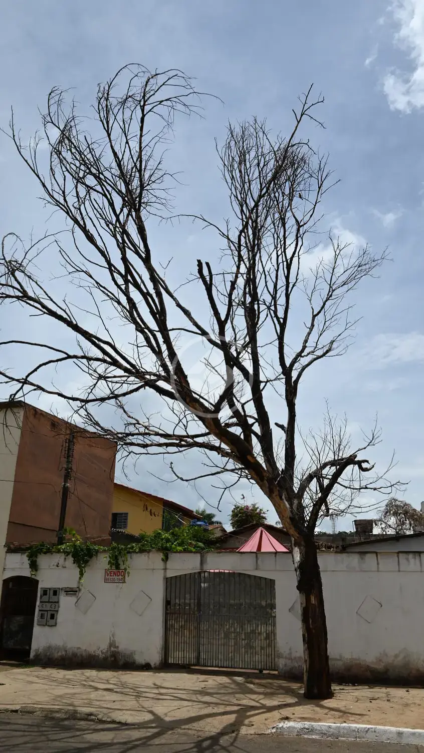 Terreno Jardim Europa, Goiânia - GO — foto 2
