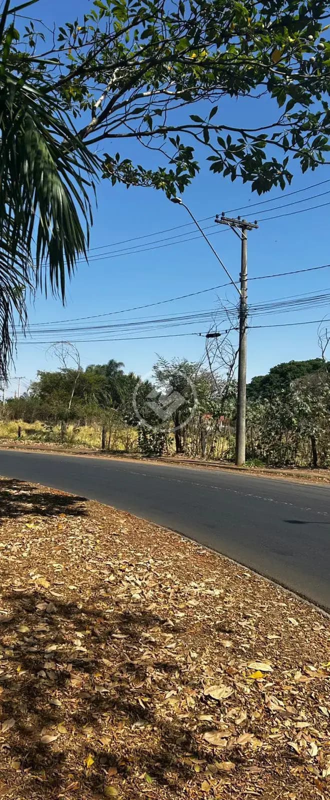 Chácara Parque Industrial, Araçatuba - SP — foto 1