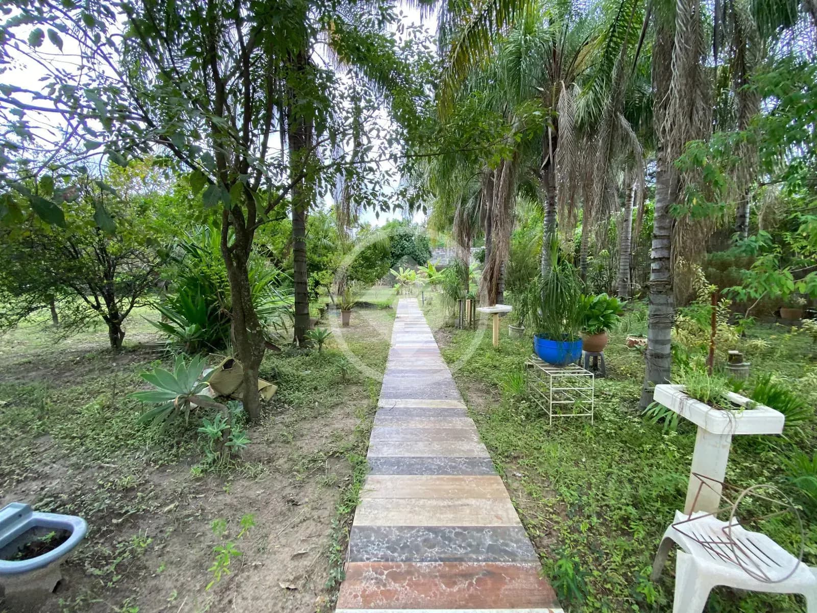 Chácara 2 quartos no Conjunto Habitacional Pedro Perri, Araçatuba — foto 6 de 6