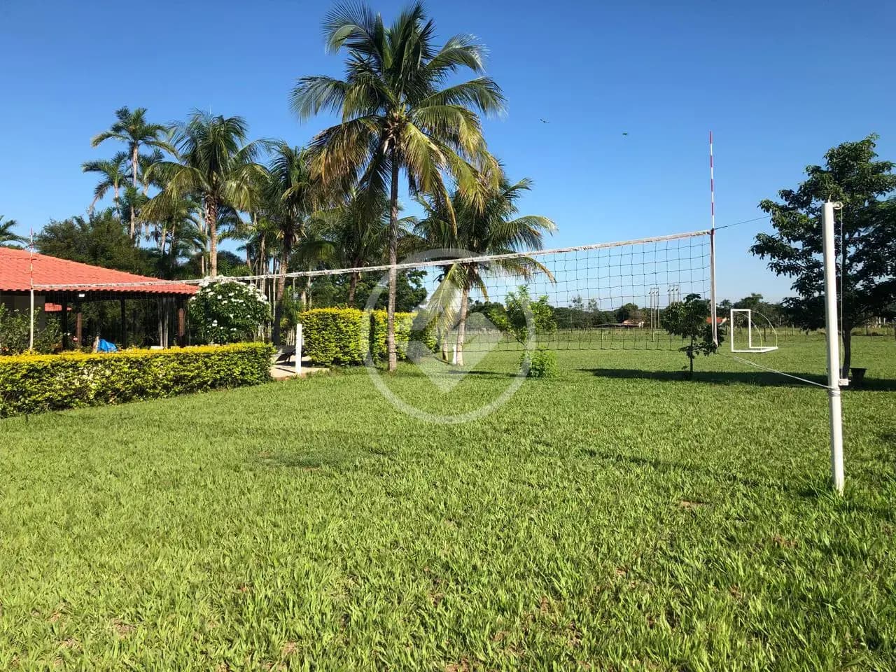 Sítio 5 quartos no Chácaras Califórnia, Araçatuba — foto 6 de 6
