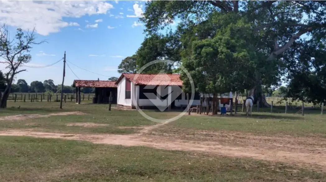 Fazenda Centro, Poconé - MT — foto 2