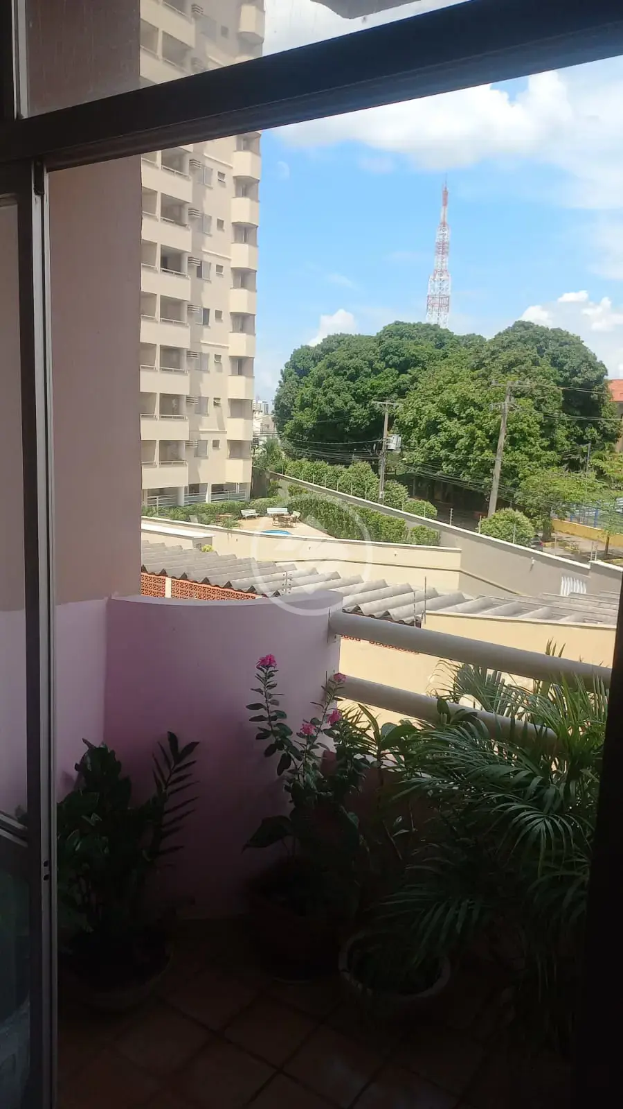 Apartamento 3 quartos no Bosque da Saude, Cuiabá — foto 5 de 6