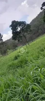Fazenda 2 quartos no Olhos D Agua, Cáceres — foto 6 de 6